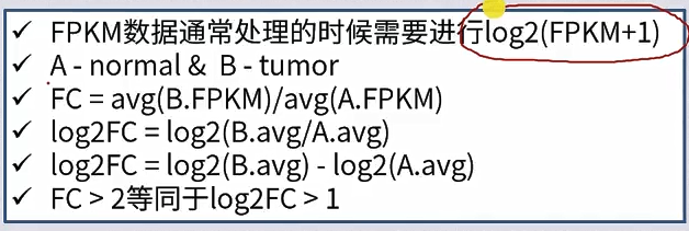 image-20240311202328284