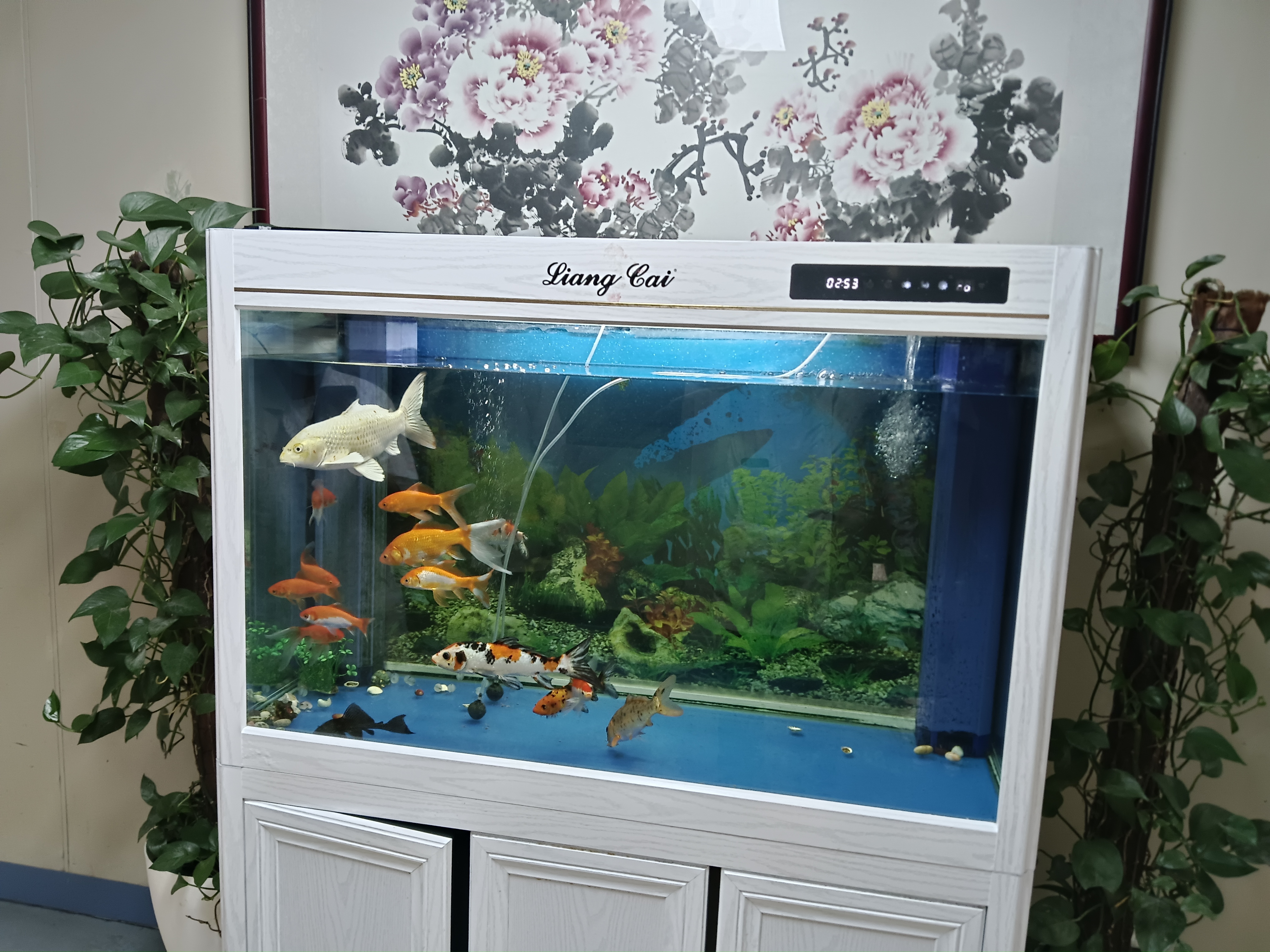 一看就知道很有钱泌尿外科