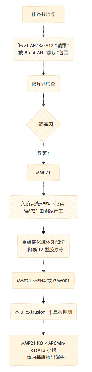 image-20250528222517274