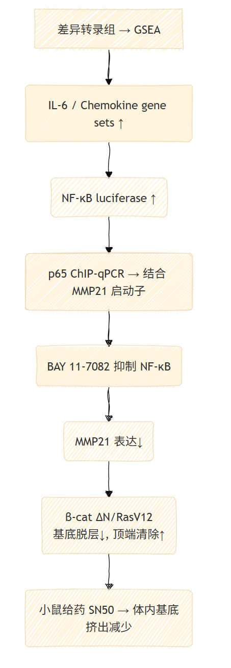 image-20250528222844315