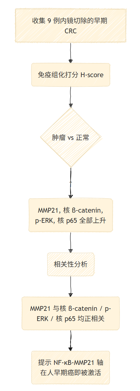 image-20250528223416583